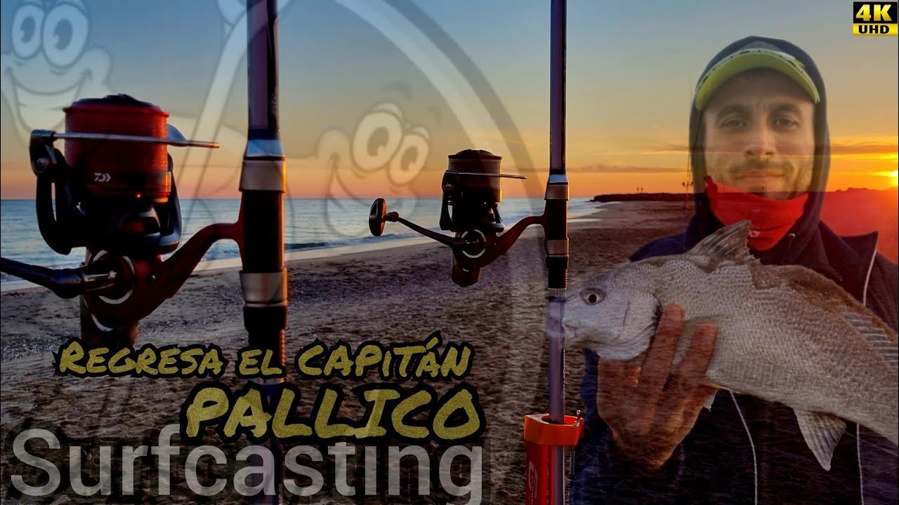 Pesca Surfcasting Pallico 💚 Regresa el CAPiTáN 
