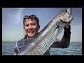 Kingfish caught using Yo-Zuri Crystal Minnow