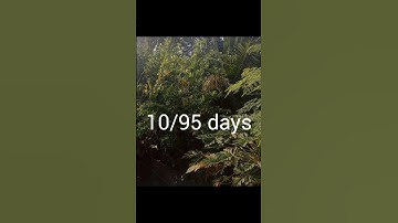 Reset, refocus, readjust, restart as many times as you need to. Just never give up🔥#cainterjan25