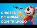 Chistes de animales cortos muy divertidos para niños 🤣