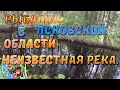 РЫБАЛКА В ПСКОВСКОЙ ОБЛАСТИ, НЕИЗВЕСТНАЯ РЕКА!!!