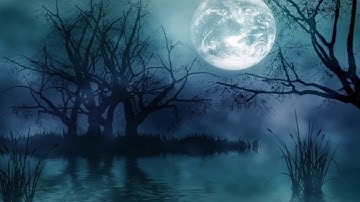 Richard Noll ~ Nightfall Video | Hauntingly Beautiful Instrumental Music
