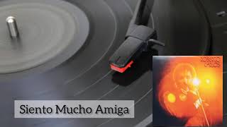 Siento Mucho Amiga - Roberto Carlos