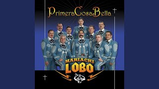 Video thumbnail of "Mariachi Lobo - Qué Detalle"