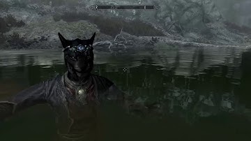 skyrim antigravity adventure