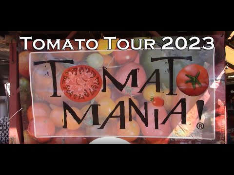 Video: Tomat 