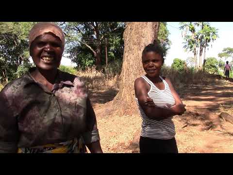 Video: Zambiyada Chikala nə deməkdir?