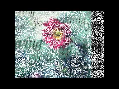 جديد راغب علامه 2011 مشتاق بتفل   