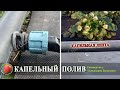 Капельный полив Установка системы капельного полива на клубнике