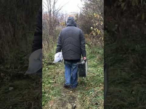 Мы как зомби