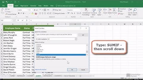 Excel 2016/365 - Use the SUMIFs Function