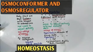 Osmoregulator And Osmoconformer | Osmoregulators And Osmoconformers  Difference - Youtube