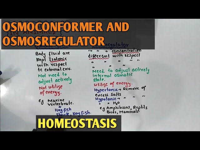 Osmoregulator And Osmoconformer | Osmoregulators And Osmoconformers  Difference - Youtube