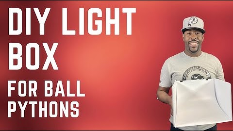 DIY Light Box for Ball Pythons I #Reptiles #BallPythons #Snakes #Lightbox #StudioLightBox