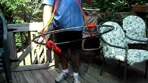 PopNet Collapsible Net Demo