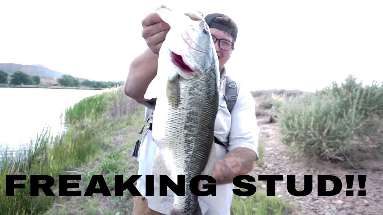 Swimbaits for GIANT Bass!!! My new PB!!!