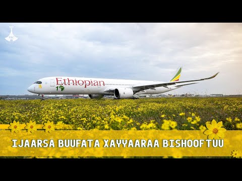 Ijaarsa Buufata Xayyaaraa Bishooftuu Etv Ebc Etv Afaan Oromoo Oduu Etv Afaan Oromoo Ethiopia
