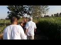 حقول غيطان قرية زاوية غزال دمنهور عيد الفطر يونيو 2017 الحاج جابر الديب 