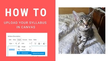 How to Upload a Syllabus in Canvas