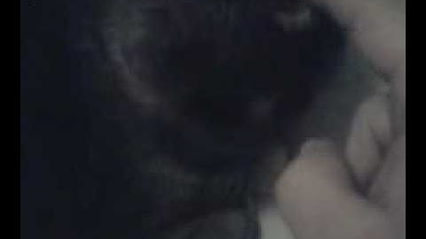 lazy cats...get a job!