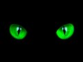 Spooky Eyes 4K Eyes For Helmet Halloween Ojas Background Spooky Eyes 4K Eyes For Helmet Halloween Ojas Background