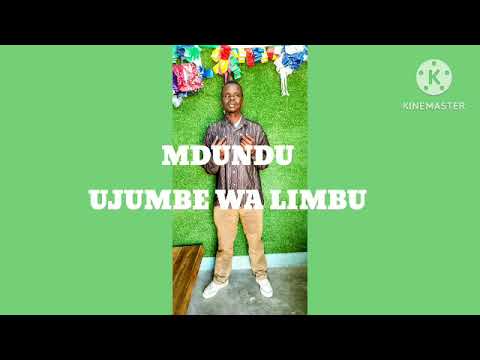 MDUNDU UJUMBE WA LIMBU OFFICIAL AUDIO BY KINGSAI
