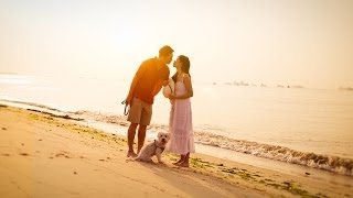 Couple & Mini Schnauzer @ East Coast Beach Singapore Pet Photography screenshot 5