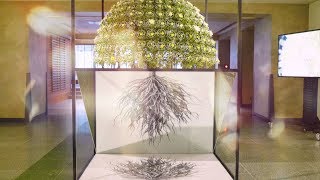 息をのむほどに美しいドーム状の菊！日本が誇る二本松市の菊「多輪咲」街中がアートになる『DESIGNART TOKYO 2018』に今年も出展！2018年10月27日（土）まで期間限定開催