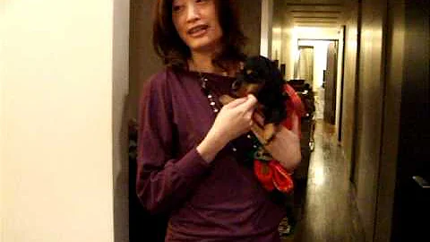 Elisa Cheng