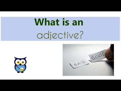 What is an
