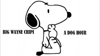 Kabza De Small Umshove Big Wayne Chipi Instrumental Mix