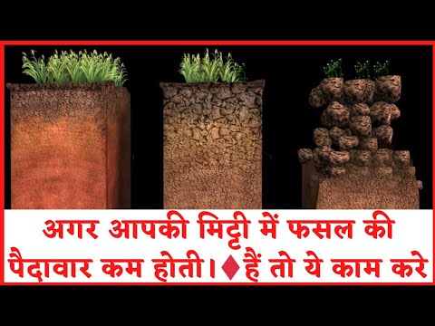 वीडियो: मिट्टी की देखभाल: कृषि प्रौद्योगिकी की गलतियाँ