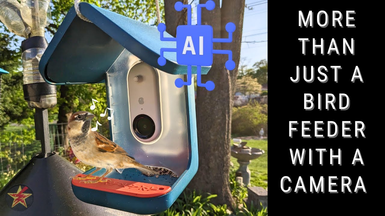 Bird Buddy, the AI-powered bird feeder startup, now lets anyone