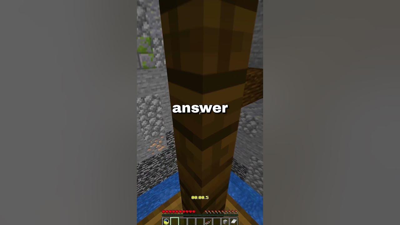 the apples and oranges riddle YouTube