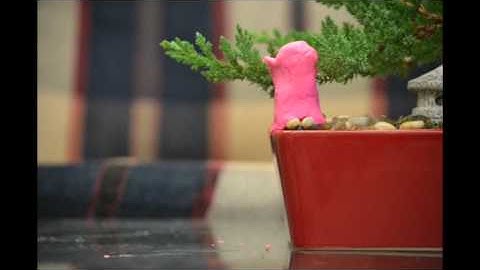 "Bob the Blob" Stop Motion Video