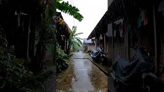 Heavy Rain and strong wind hits My Village #walkingrain #naturevillage #greenvillage