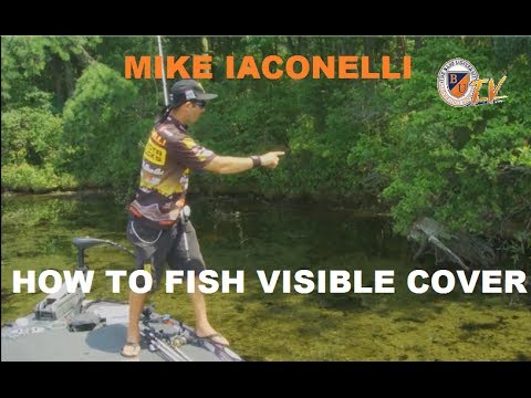 How to Fish