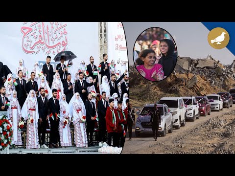 Siasat International News 3rd Dec 2025