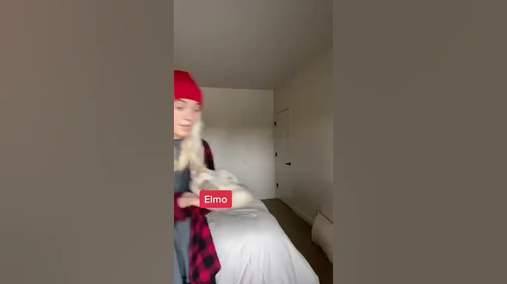 Elmo’s 13th reason is named Rocco 🪨 - liv pearsall #shorts