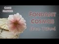 How To Make A Fondant/Gumpaste Cosmos Flower Tutorial