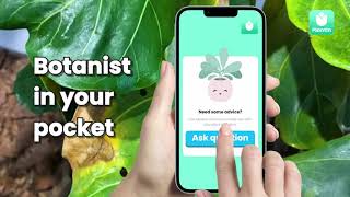 Plant care with expert help in PlantIn app screenshot 2