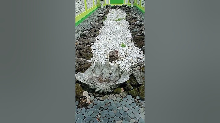MAKAM TGK SYEKH TUAN TAPA DI TAPAK TUAN ACEH SELATAN!! KISAH PETAPA MELAWAN NAGA!! #trending