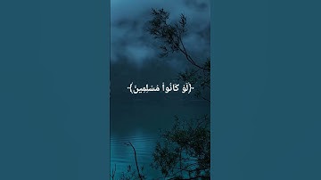 #عبد_العزيز_الراجحي #سورة_الحجر #quran #قران_كريم