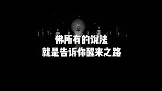 201809 佛所有的说法就是告诉你醒来之路23989