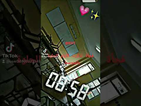 ذكريات من متوسطة يوسف زوكال بالبليدة