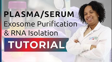 Exosome Purification & RNA Isolation Tutorial - Plasma/Serum