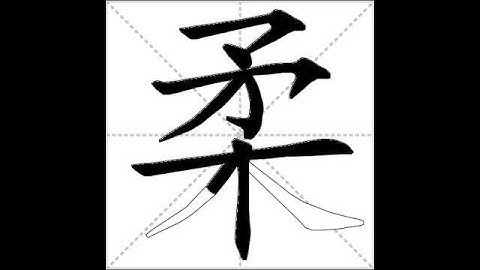 how to write chinese 柔丨Chinese stroke order中文汉字笔顺动画
