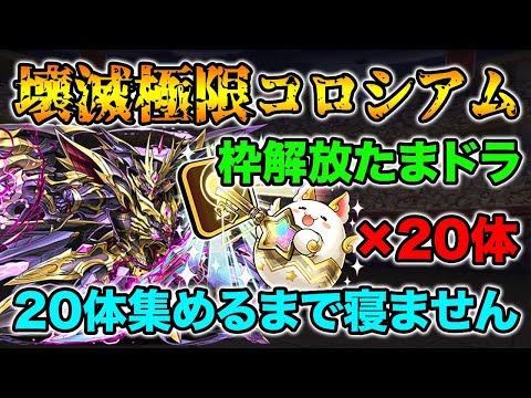マドカ ダイゴ 第30話 第39話 Youtube