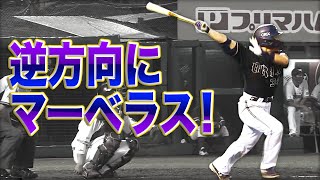 吉田正尚、逆方向に”とんでもない”HRを放ってしまう