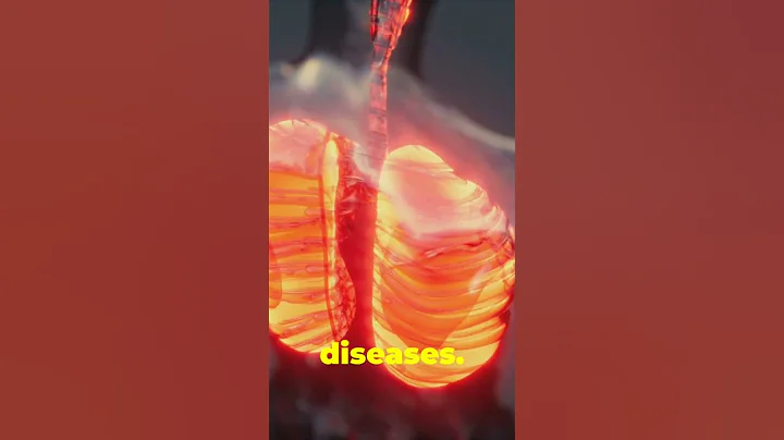 Your Body's Hidden World: The Microbiome Revealed!